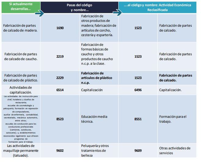 actualización del rut